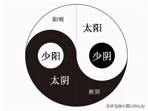 少陰意思|六經釋疑：如何理解太陽、太陰、少陽、少陰、陽明、。